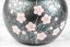 Shoryu Tenmoku Ume Kyusu - 200 ml
