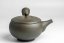 Keiichiro Watanabe Kyusu - 230 ml