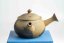 Mori Iroku IV Yohen Kyusu - 130ml