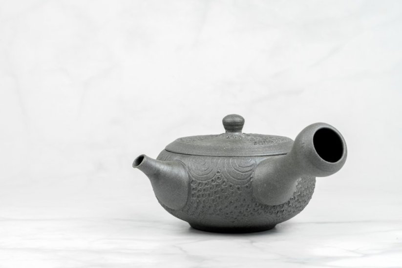 Keiichiro Watanabe Kyusu - 220 ml