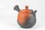 Yoshiki Murata Kyusu no.1 - 240 ml