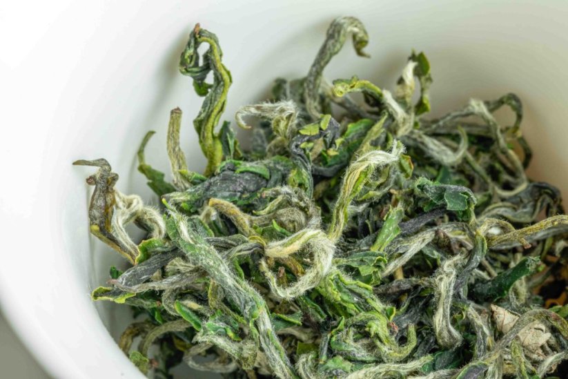 San Xia Bi Luo Chun PQM 2025 - 50g