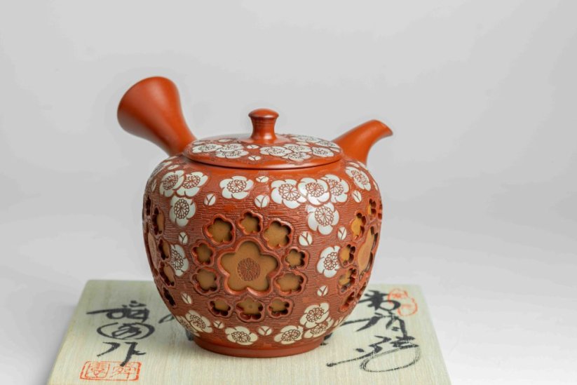Shunen Mano Double-layer Red Plum Blossom Kyusu - 250 ml