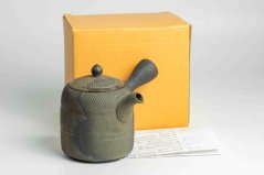 Mori Iroku IV Yohen Kyusu - 180ml