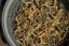 Darjeeling Takdah Golden Peaks FF2026 - 50g