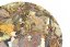 Point of View - Bada Shan Ye Sheng 2022 - 200 g - Weight: 25g