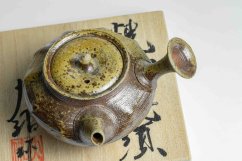 Taisuke Shiraiwa Yohen Kyusu  - 200ml