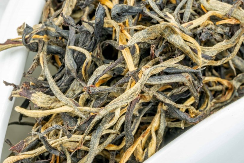Myanmar Black Ruby Tips - 50g