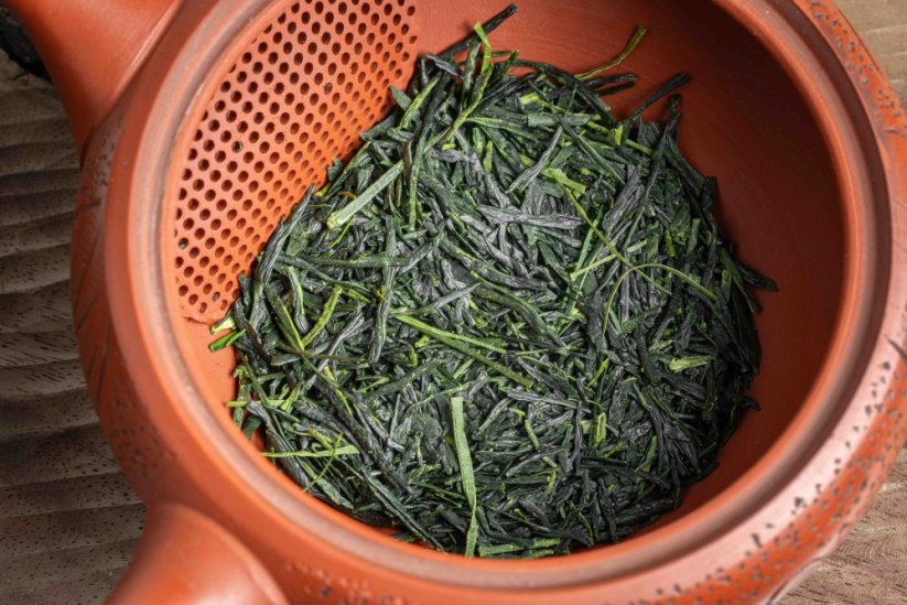 Kagoshima Okumidori Kabusecha 2025 - 50g