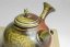 Taisuke Shiraiwa Yohen Kyusu  - 170ml