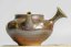 Taisuke Shiraiwa Yohen Kyusu  - 200ml