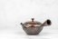 Hirotaka Umehara Mogake Kyusu - 180 ml