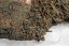 2020 Yiwu Tong Qing He Ripe Puerh - 357g - Váha: 357g
