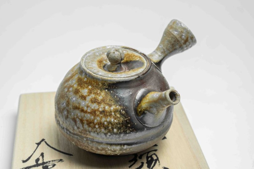 Taisuke Shiraiwa Yohen Kyusu  - 190ml