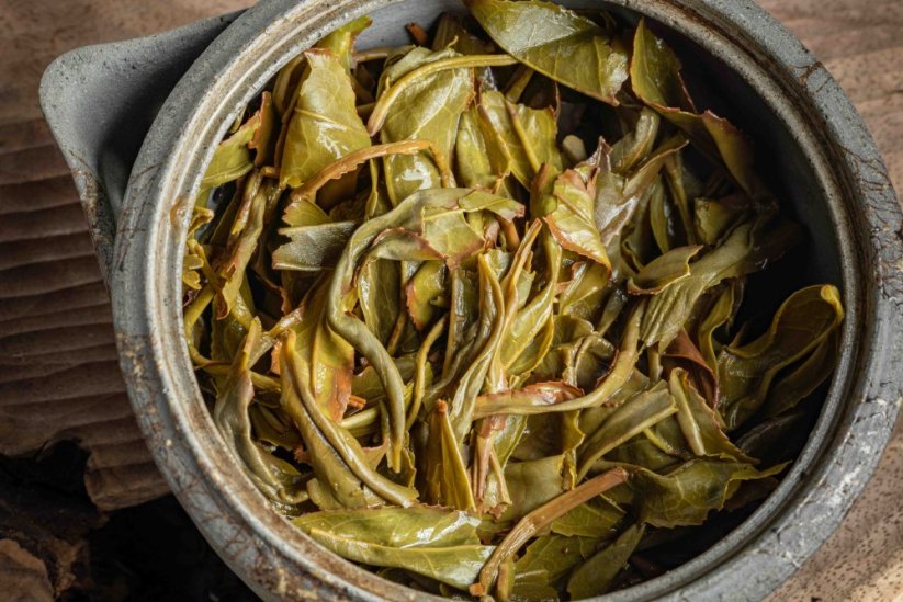 Shizuoka Shimada Z1 Oolong 2025 - 50g