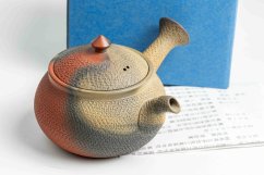 Mori Iroku IV Yohen Kyusu - 130ml