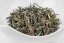 Rohini Fruity Summer Oolong 2025 - 50g