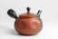 Koshin PineBark Teapot - 200ml