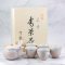 Tenryu Kiln Hagiyaki Set - 320ml + 5*100ml