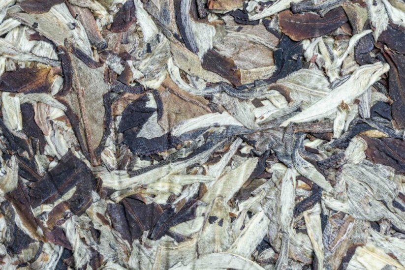 Ai Lao Shan White 2020 -  400 g - Weight: 100g