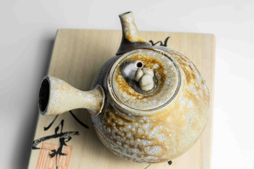 Taisuke Shiraiwa Yohen Kyusu  - 190ml