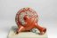 Shunen Mano Double-layer Red Plum Blossom Kyusu - 250 ml