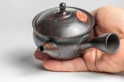 Gyokuryusaku Mogake Kyusu - 190ml