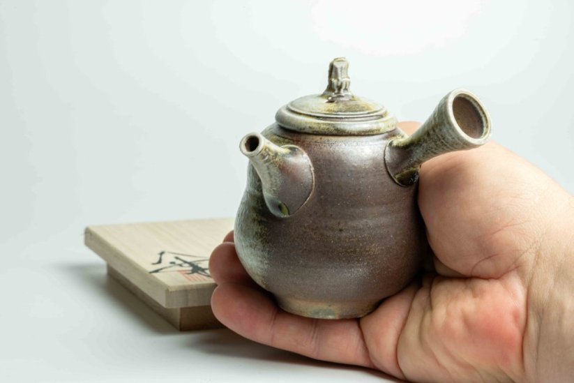 Taisuke Shiraiwa Yohen Kyusu  - 170ml