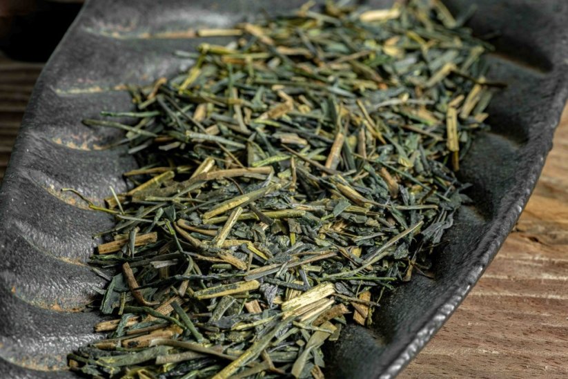 Kagoshima Ao Hojicha Kaguwashi 2025 - 50g