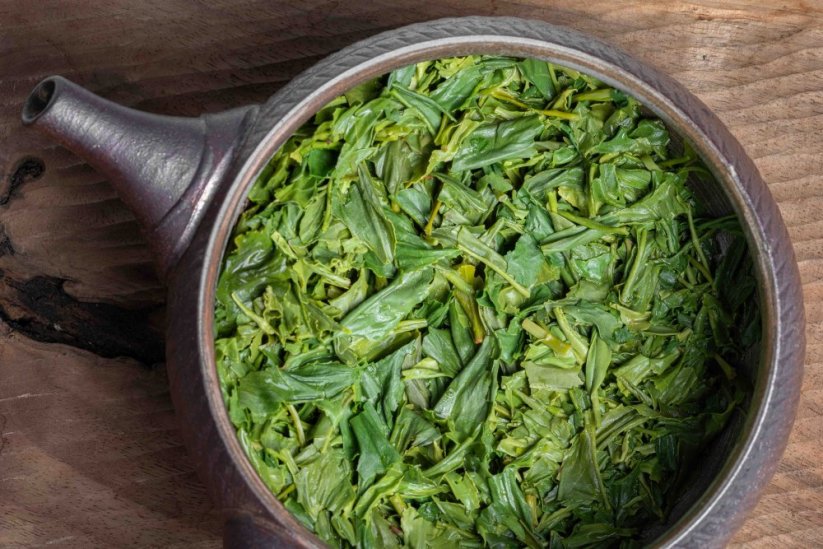 Ohbukudani Asamushi Sencha 2026 - 50g