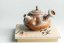 Taisuke Shiraiwa Yohen Kyusu  - 100 ml