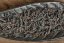 Zuo Ruyu Rou Gui Yancha 2024 - 8,3g