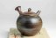 Konishi Yohei Nerikomi Kyusu - 200ml