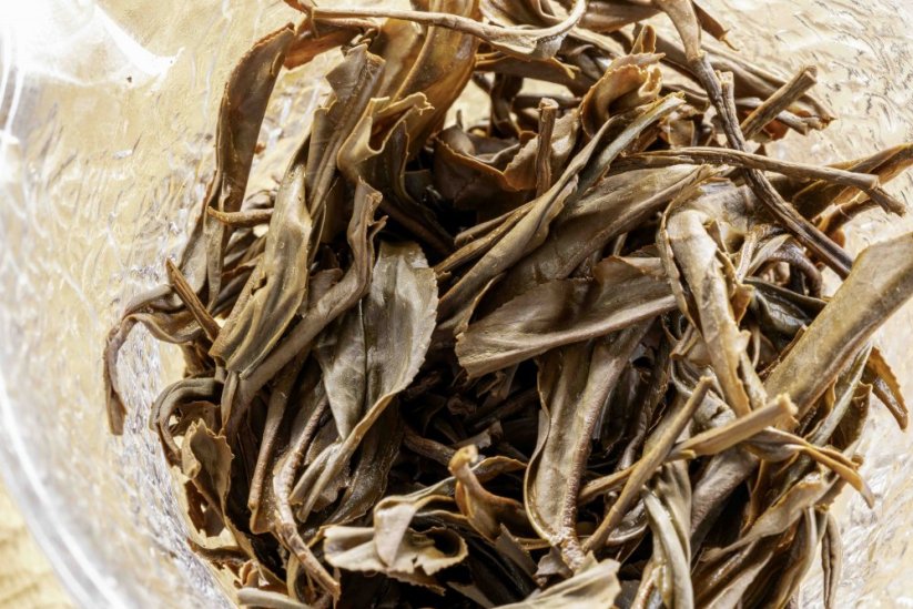 Yu Chi Hong Yun TRES.21 - Scarlet Melody 2025 - 50g