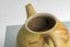 Jinshu Mogake Teapot - 130 ml