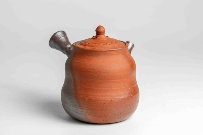 Ishii Shuzan Yohen Kyusu - 150ml