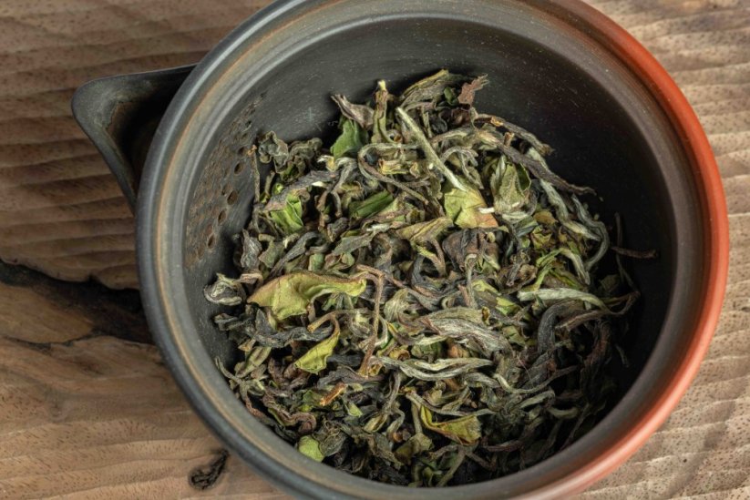 Darjeeling Takdah Spring Blossoms  FF2026 - 50g