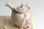 Taisuke Shiraiwa Yohen Kyusu  - 140ml