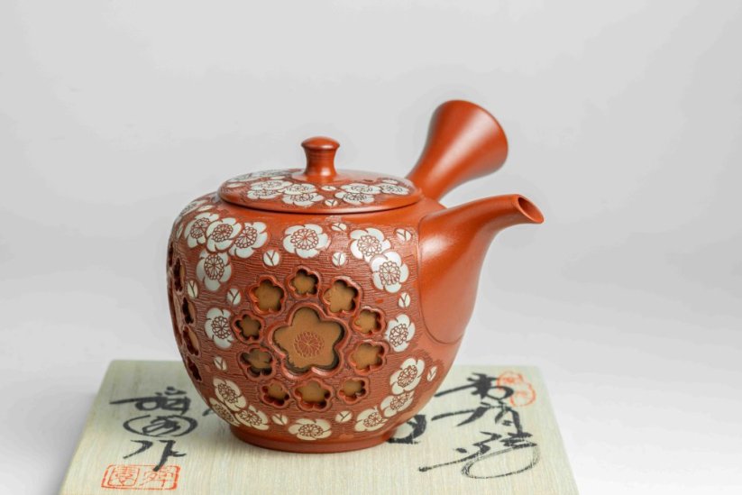 Shunen Mano Double-layer Red Plum Blossom Kyusu - 250 ml