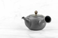 Tokoname Kyusu - 190 ml