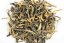 Kenya Rhino 2026 - 30g