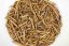 Ishidera Houjicha Light Roast Yabukita 2025 - 50g-