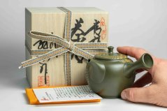 Shunen Mano Wisteria Kyusu - 250 ml