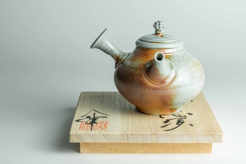Taisuke Shiraiwa Yohen Kyusu  - 160ml (levoruká)