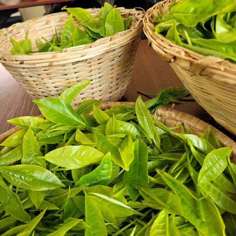 Uganda Tea Set - 3*25g