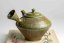Taisuke Shiraiwa Emerald Yohen Kyusu - 200ml