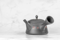 Tokoname Kyusu - 220ml