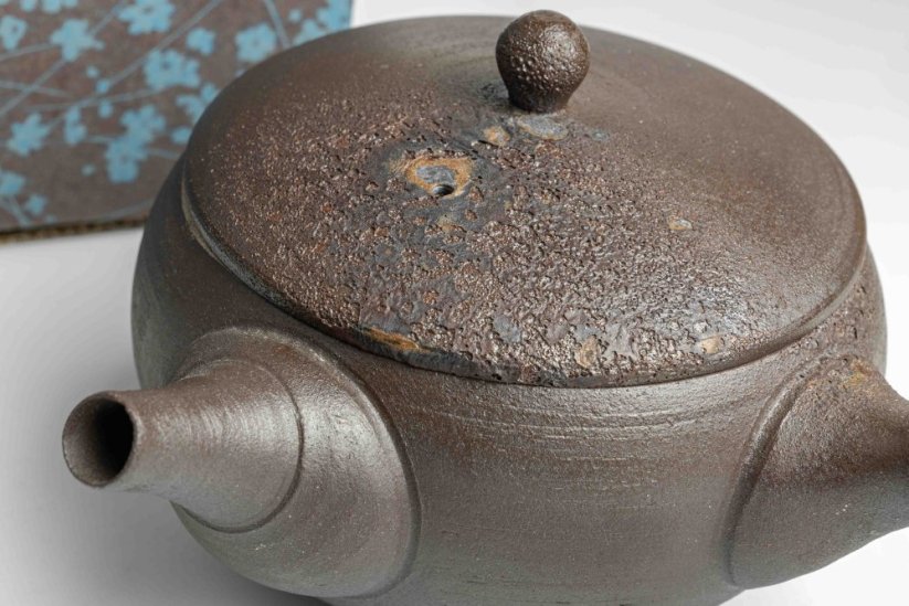 Keiichiro Watanabe Kyusu - 230 ml