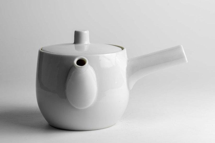 Mino Ware Porcelain Kyusu - 300ml