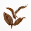 Yu Chi Hong Yun TRES.21 - Scarlet Melody 2025 - 50g